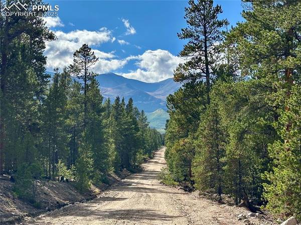 143 Fir DR, Leadville, CO 80461