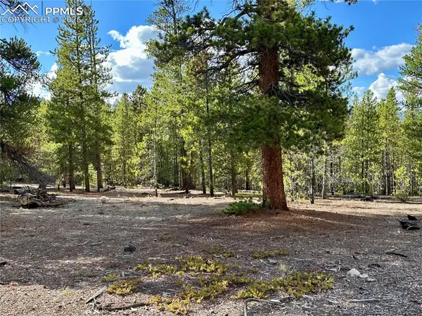 Leadville, CO 80461,143 Fir DR