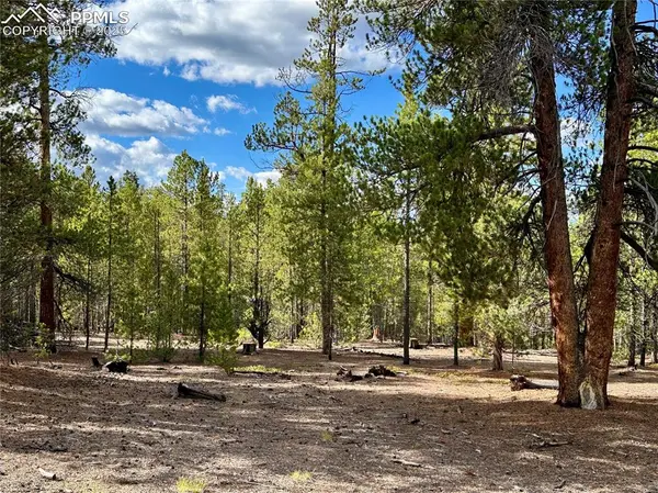 Leadville, CO 80461,143 Fir DR