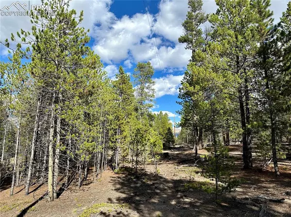 Leadville, CO 80461,143 Fir DR