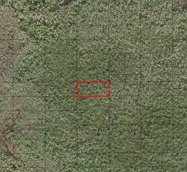 0 HOLOPAW GROVES RD, St. Cloud, FL 34772