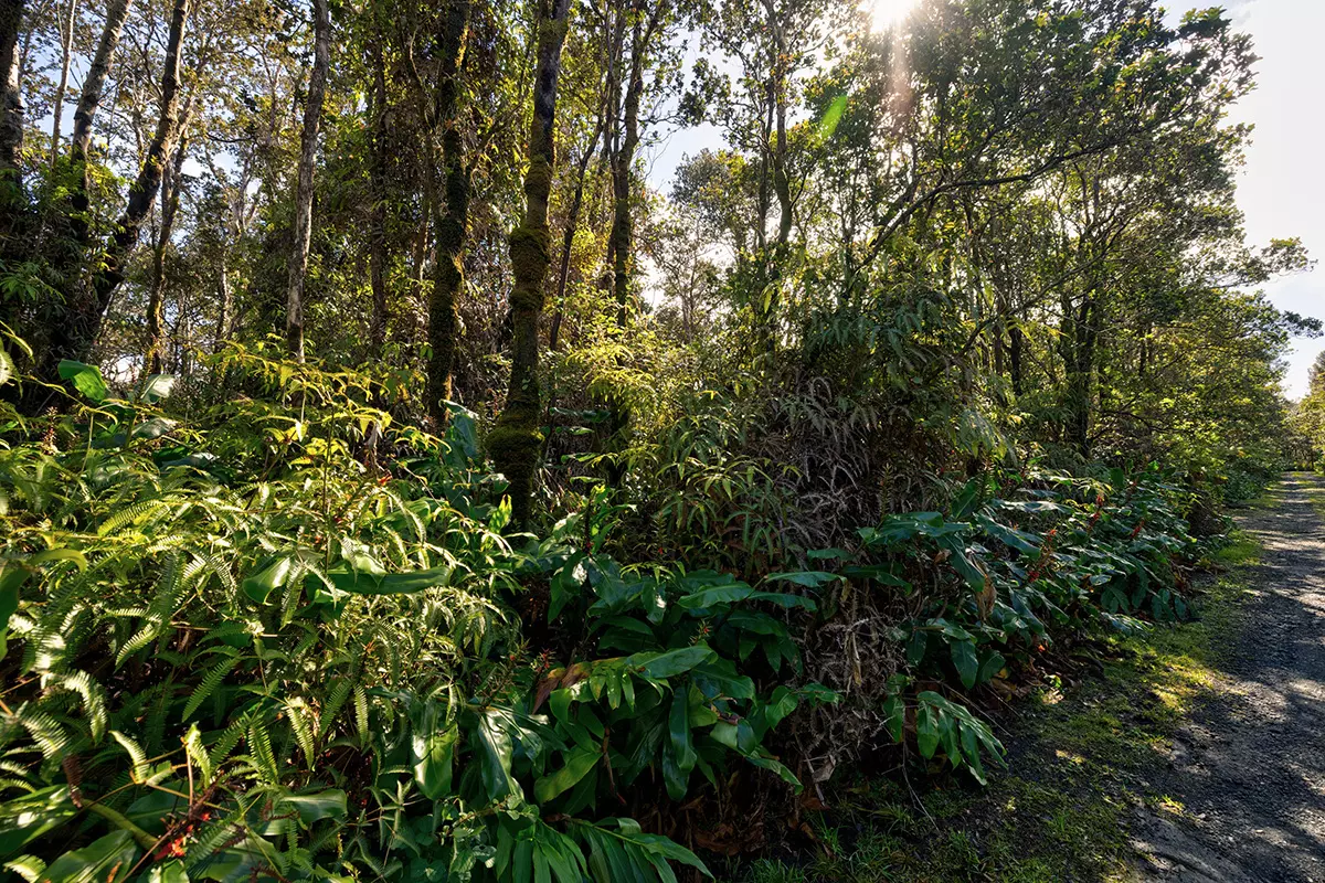 Volcano, HI 96785,9TH ST