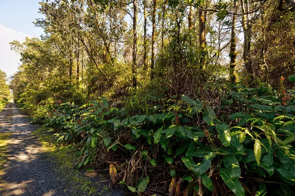 Volcano, HI 96785,9TH ST