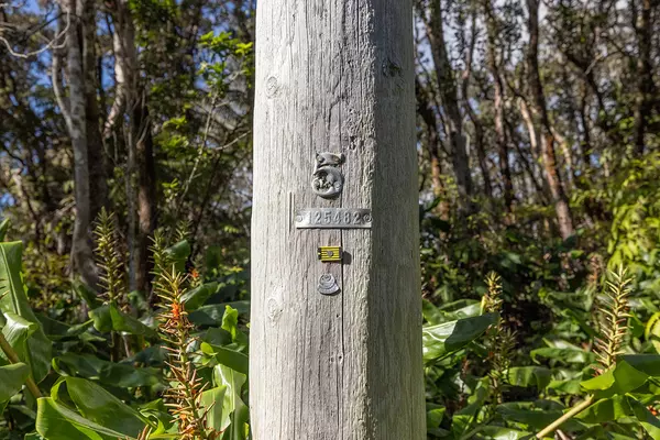 Volcano, HI 96785,9TH ST