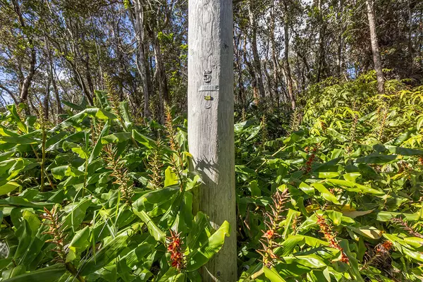 Volcano, HI 96785,9TH ST