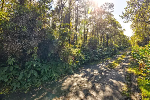 Volcano, HI 96785,9TH ST