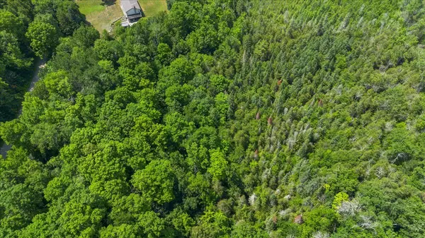 Tweed, ON K0K 3J0,0 Rapids CT