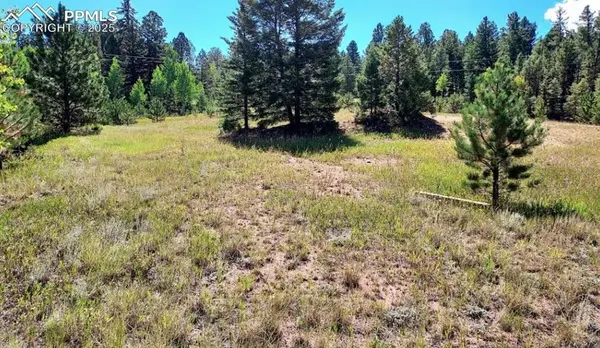 Florissant, CO 80816,1763 County Road 421