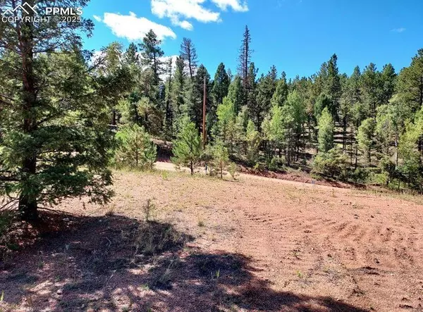 Florissant, CO 80816,1763 County Road 421