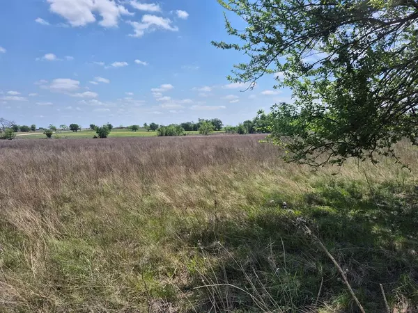 Jonesboro, TX 76538,T.B.D PR 4311