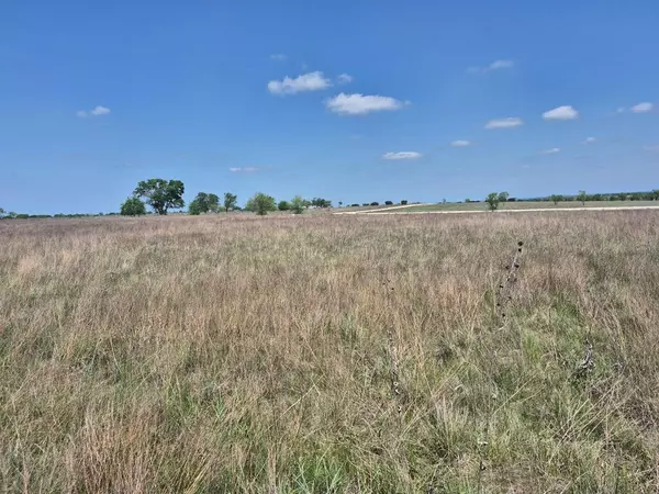 Jonesboro, TX 76538,T.B.D PR 4311