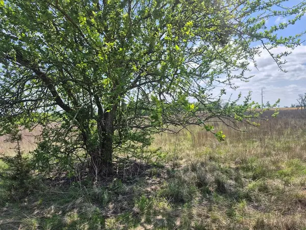 Jonesboro, TX 76538,T.B.D PR 4311