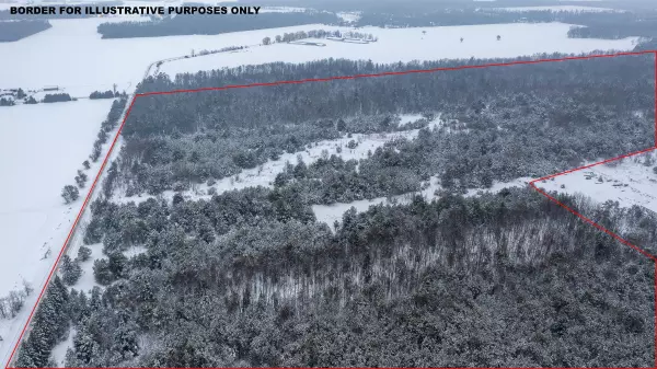 Clearview, ON L0M 1N0,5716 County Road 9 N/A