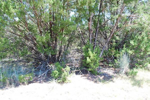 8183 Cedar Crest Drive, Whitney, TX 76692