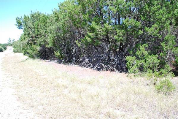 8183 Cedar Crest Drive, Whitney, TX 76692