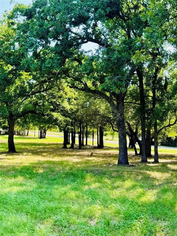 Whitney, TX 76692,14004 Sandy Oaks Drive