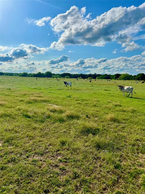 Nocona, TX 76255,TBD 104 Acres FM 103