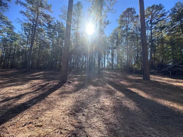 Minden, LA 71055,0 Cotton Lane