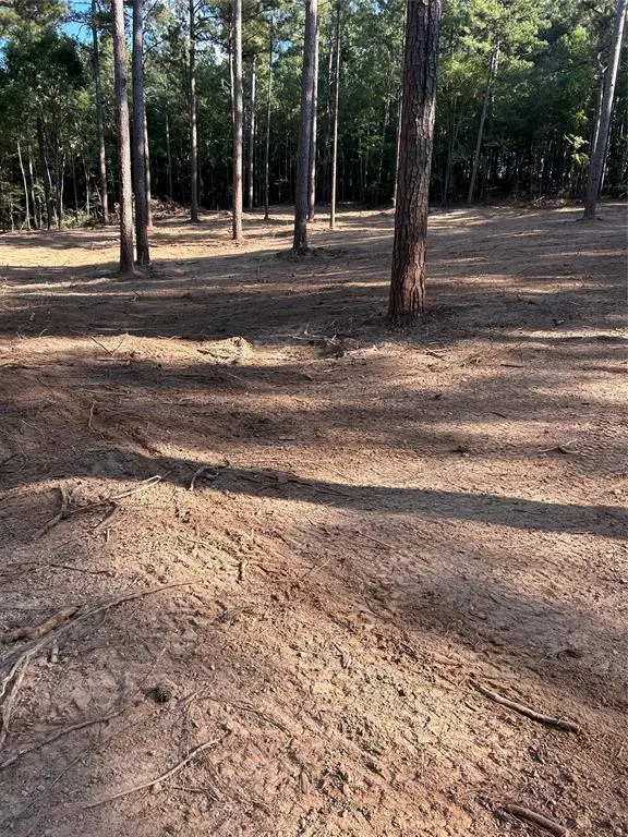 Minden, LA 71055,0 Cotton Lane