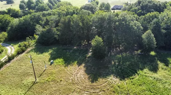 Ravenna, TX 75476,1979 County Road 1135