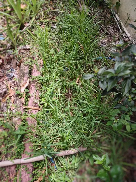 Ocala, FL 32526,0000 SE 44 AVENUE