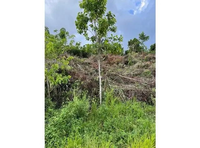 Other City - In The State Of Florida, FL 34432,0000 139 CT.