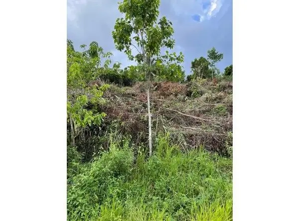 0000 139 CT., Other City - In The State Of Florida, FL 34432