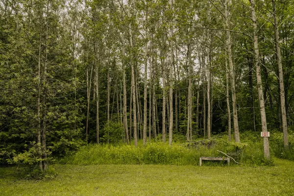 Brockton, ON N0G 1S0,014104 Bruce County  Road 10 RD