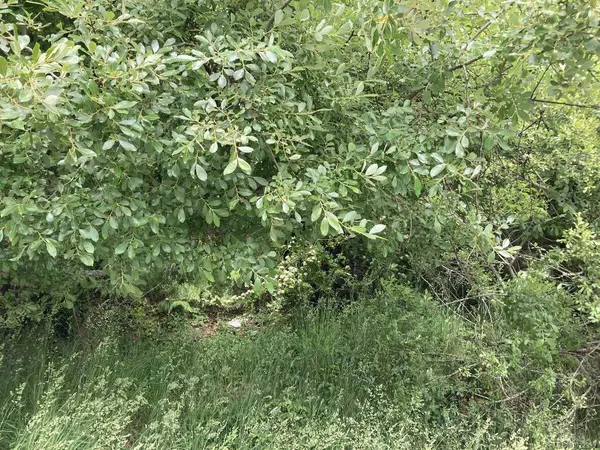 Sooke, BC V9Z 0M5,2364 French Rd