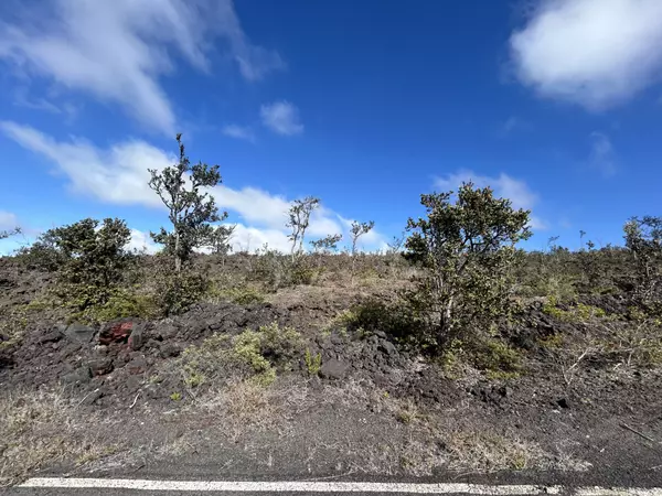 Ocean View, HI 96737,SEA VIEW DR