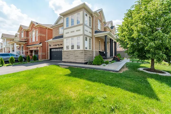 Brampton, ON L7A 0M9,56 Iceland Poppy TRL