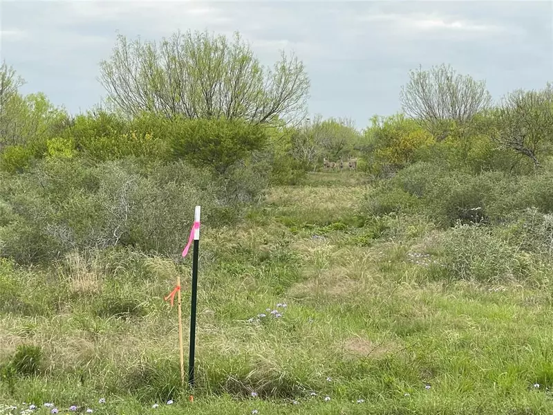 Lot 7 PR Frio Esates Drive, No City, TX 78057