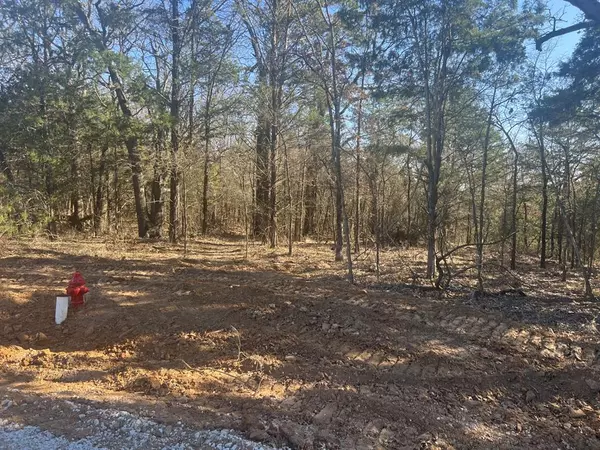 LOT 35 Reflection Bay Boulevard, Gordonville, TX 76245