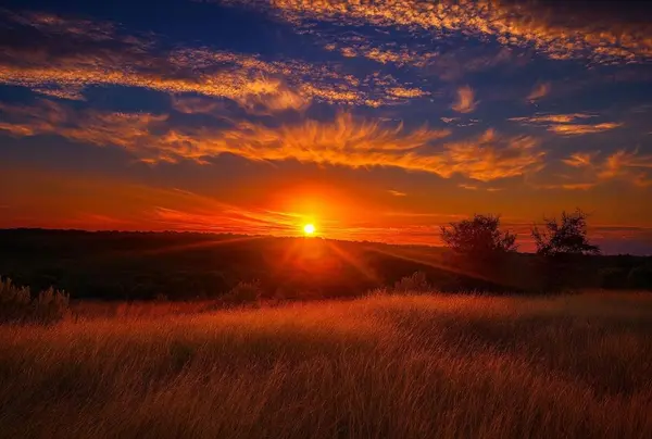 Hye, TX 78635,0000 Gibson-Best Road