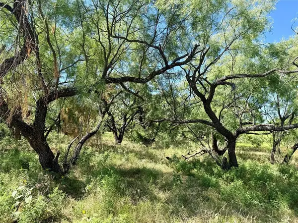 TBD County Road 121, Cross Plains, TX 76443