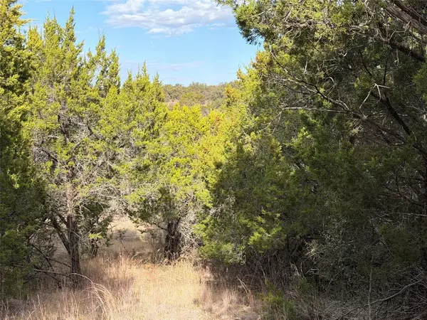 Graford, TX 76449,1070 Enchanted Rock Court