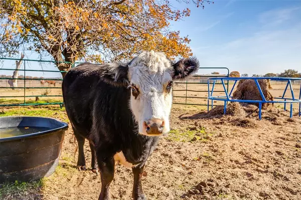 Millsap, TX 76066,1210 Poe Prairie Road