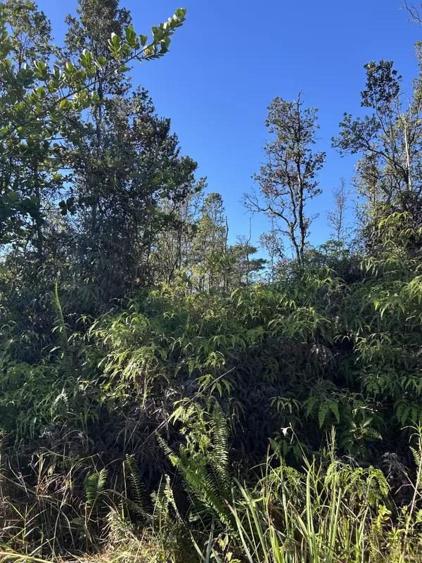 Keaau, HI 96749,15-1510 8TH AVE