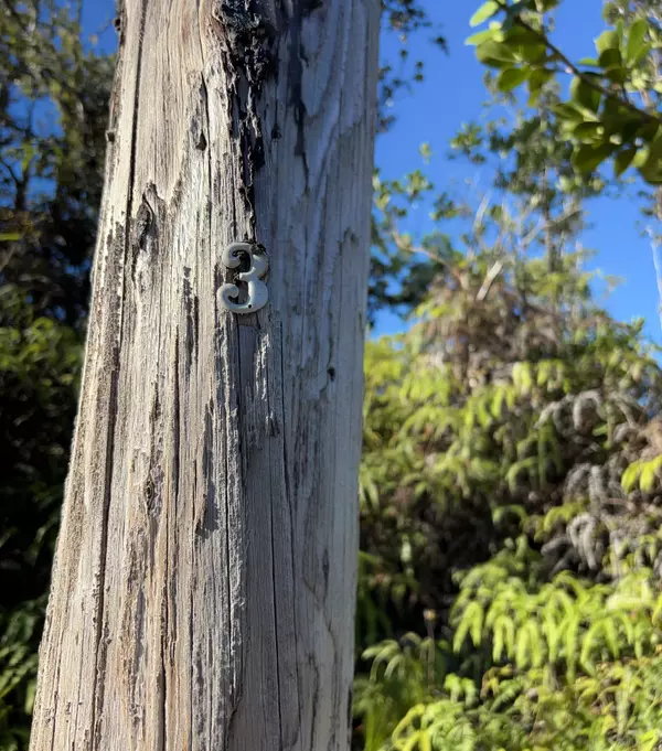 Keaau, HI 96749,15-1510 8TH AVE