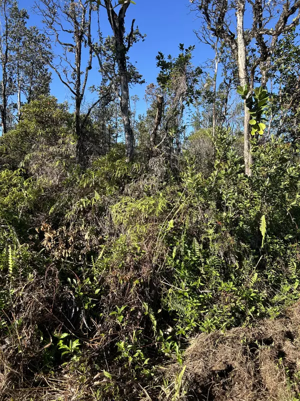 Keaau, HI 96749,15-1510 8TH AVE