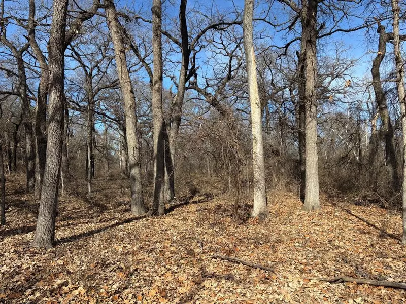 1255 Eagles Bluff Drive, Weatherford, TX 76087