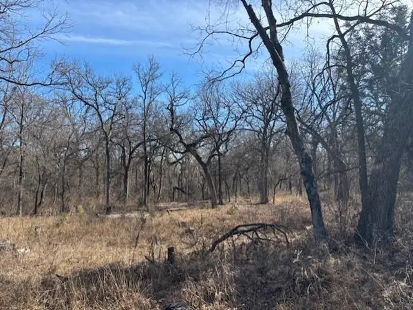 Weatherford, TX 76087,1255 Eagles Bluff Drive