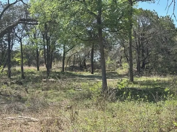 Weatherford, TX 76087,1255 Eagles Bluff Drive