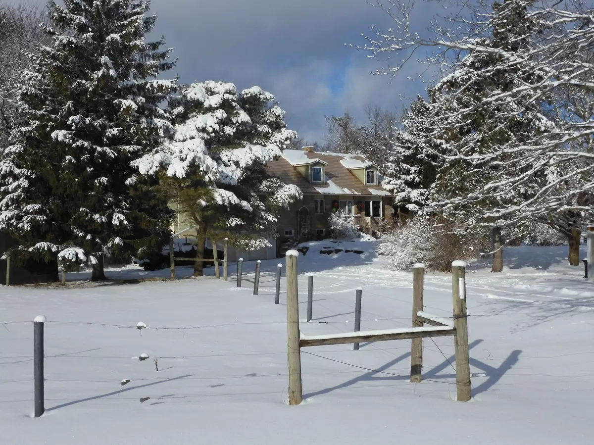 New Tecumseth, ON L0G 1A0,6824 10th Line