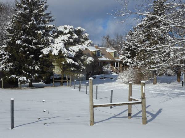 6824 10th Line, New Tecumseth, ON L0G 1A0