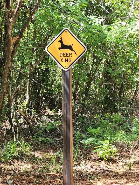 Lindale, TX 75771,20169 County Road 445