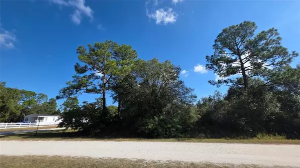 Clewiston, FL 33440,685 N Willow st