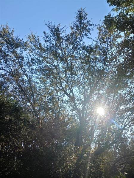 127 ORCHARD AVENUE, Other City - In The State Of Florida, FL 32178