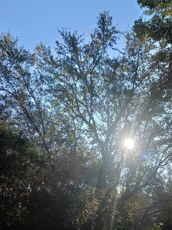 Other City - In The State Of Florida, FL 32178,127 ORCHARD AVENUE