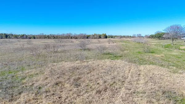 Kerens, TX 75144,Lot 8 NE CR 2160
